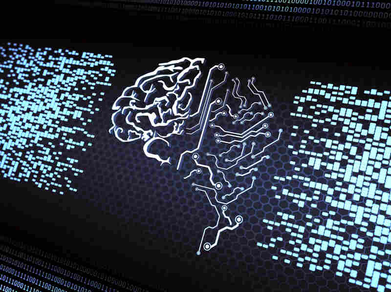 Digital brain