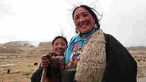 With Help From Extinct Humans, Tibetans Adapted To High Altitude