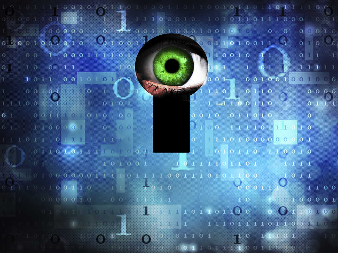Internet surveillance