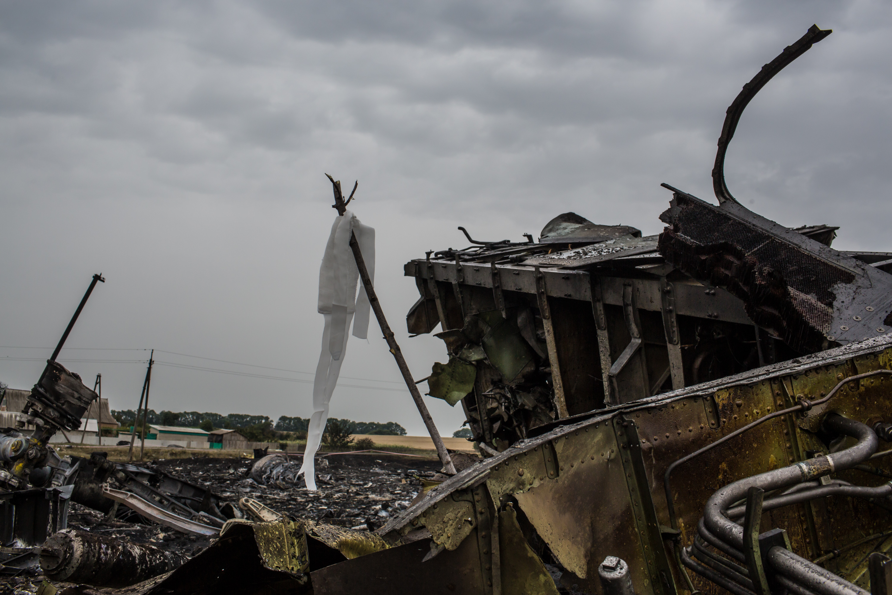 The passenger jet had nearly 300 people aboard; none survived. A white ribbon tied to a stick indicates the presence of human remains at this region of the crash site, in Grabovka, Ukraine.