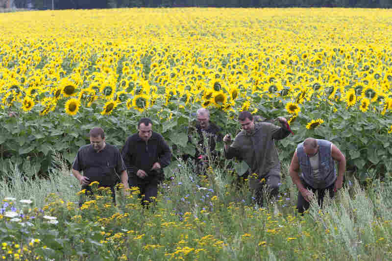 One day after the downing of Malaysia Airlines Flight MH17, investigators are trying to learn more about the crash and who might be responsible. Ukrainian coal miners search the crash site near the village of Rozsypne. 
