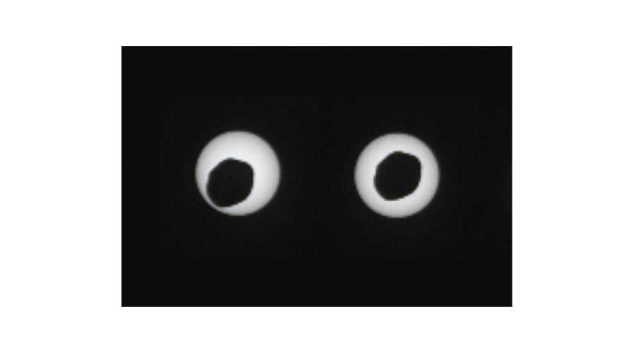 Solar eclipse or cross-eyed space alien?