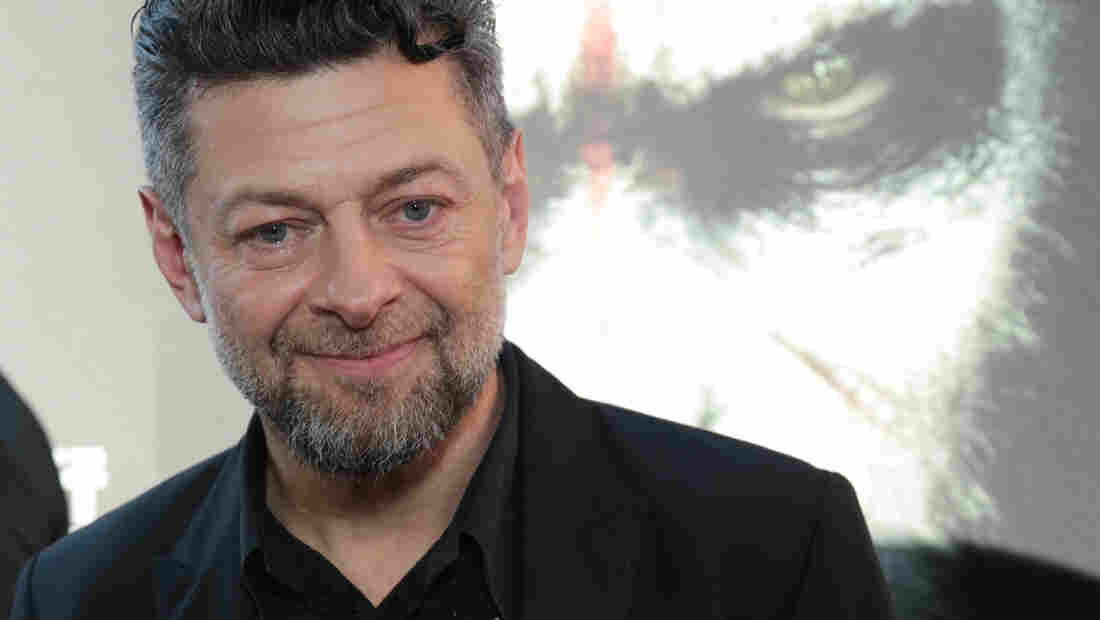 Actor Andy Serkis, known for his role as Gollum in the Lord of the Rings series, plays Caesar the ape in Dawn of the Planet of the Apes.