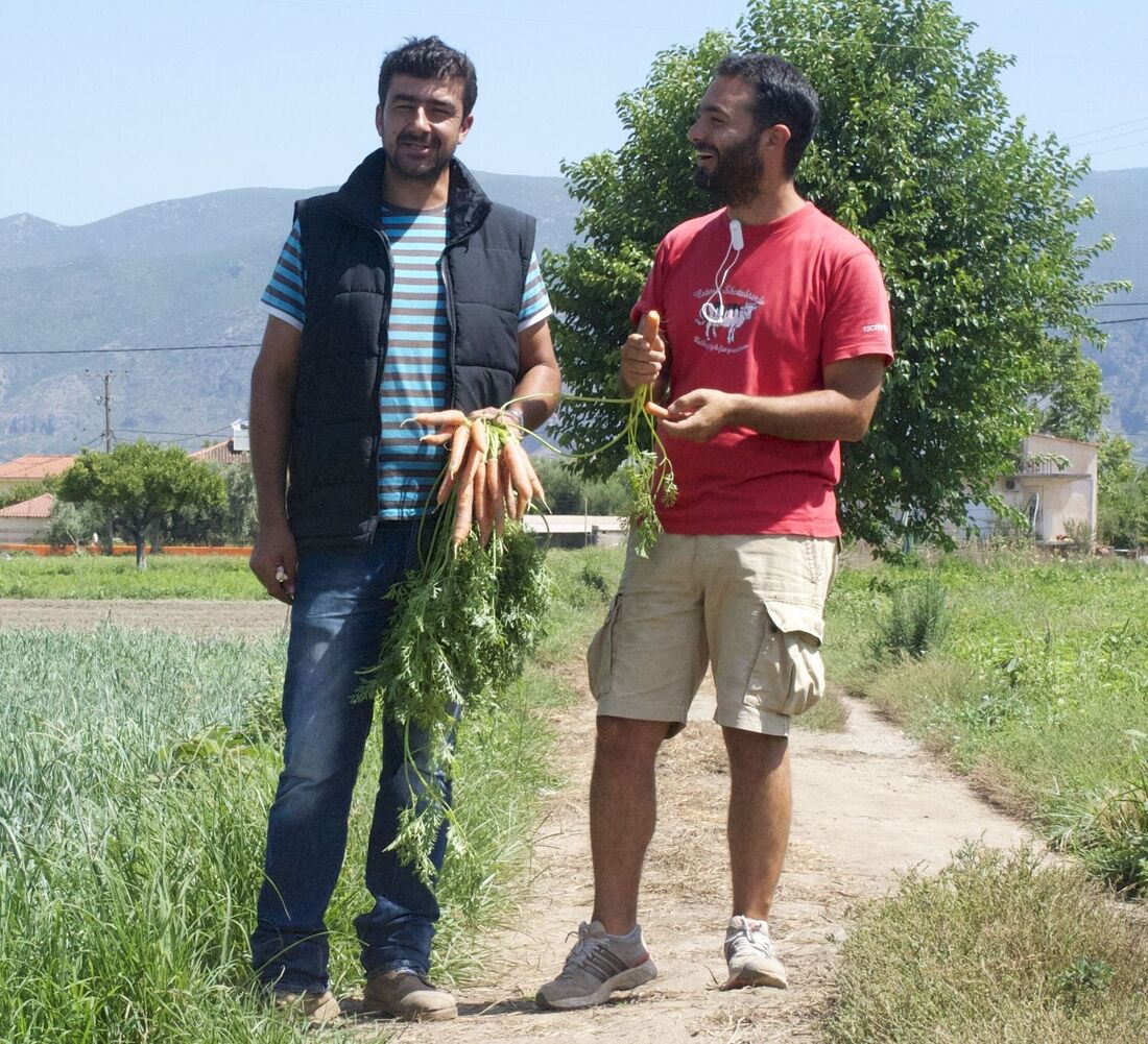 Specialty Food And Agriculture Startups Are Ripening In Greece The