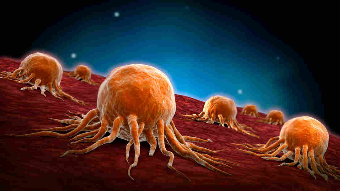 Conceptual image of cancer.