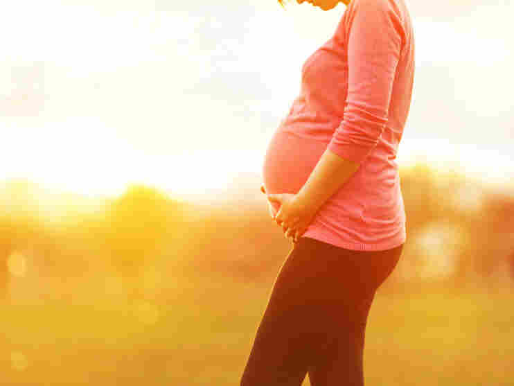 Epigenetic effects on human development are sometimes attributed to the mother based on values.