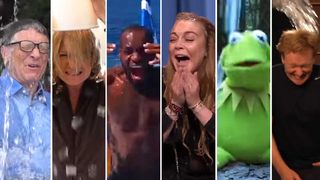 kermit the frog als ice bucket challenge