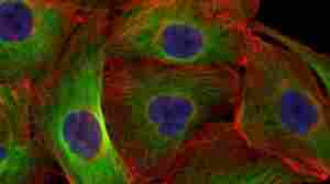 The Toughest Class In Nursing School Is The First One