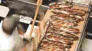 The Considered Bite: Low-Carb Diets And Our Relationship With Food 