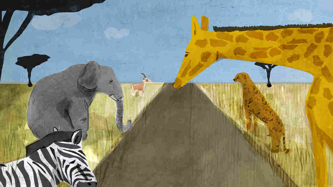 An illustration of animals native to Africa.