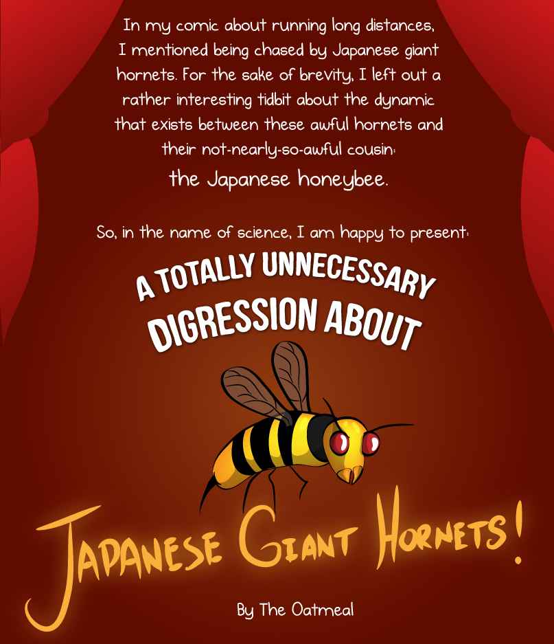 A totally unnecessary digression about Japanese giant hornets by The Oatmeal.