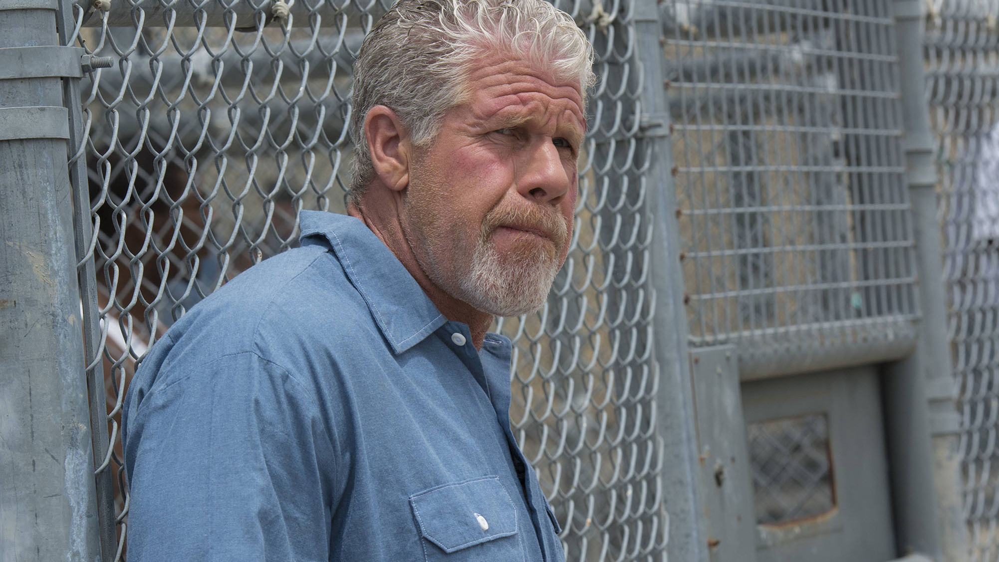 Interview: Actor Ron Perlman, Author Of 'Easy Street (The Hard Way)' : NPR