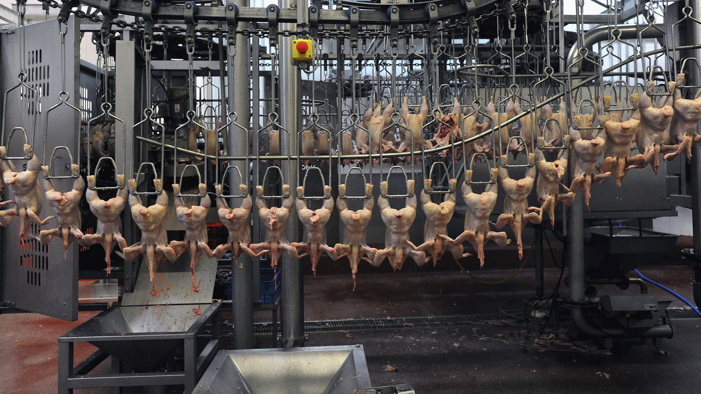 European Activists Say They Don't Want Any U.S. 'Chlorine Chicken' The Salt NPR