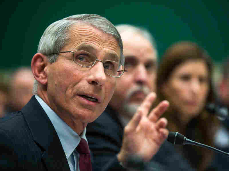 Dr. Anthony Fauci, director of the National Institute of Allergy and Infectious Disease, testifies before a House Energy and Commerce Oversight and Investigations Subcommittee hearing on the US response to the ebola outbreak in D.C., on Oct. 16, 2014.
