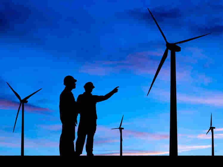 A wind farm.