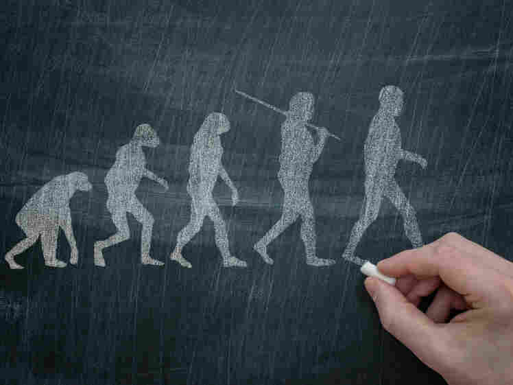 Evolution.