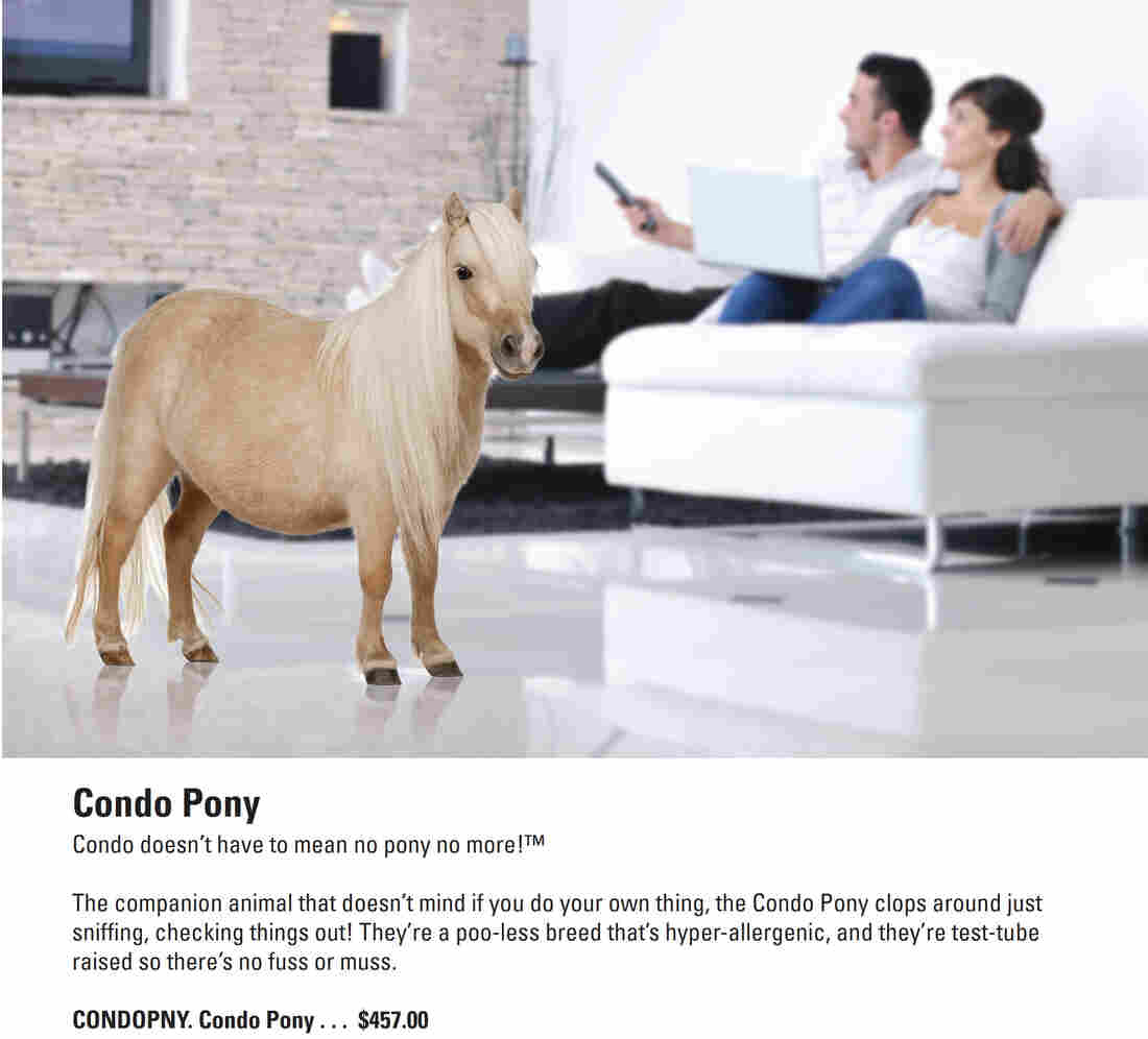 Condo Pony