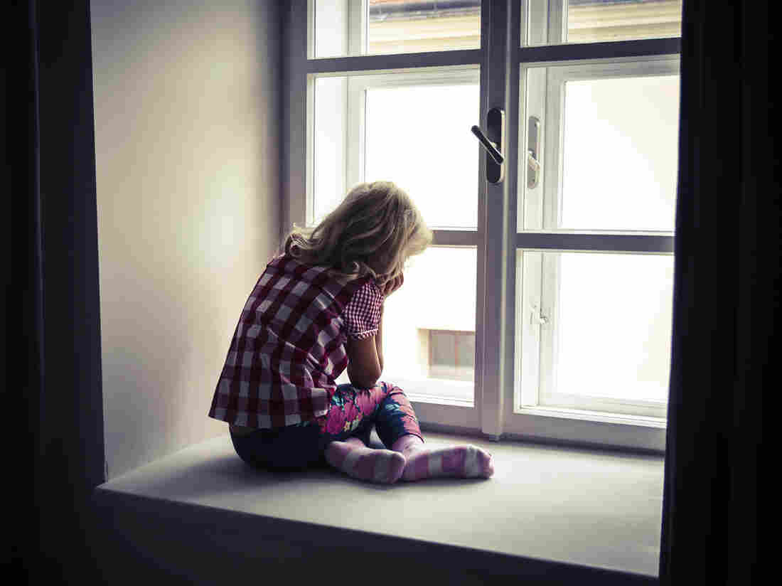 Scientists are getting a clearer idea of how genetic mutations cause autism.