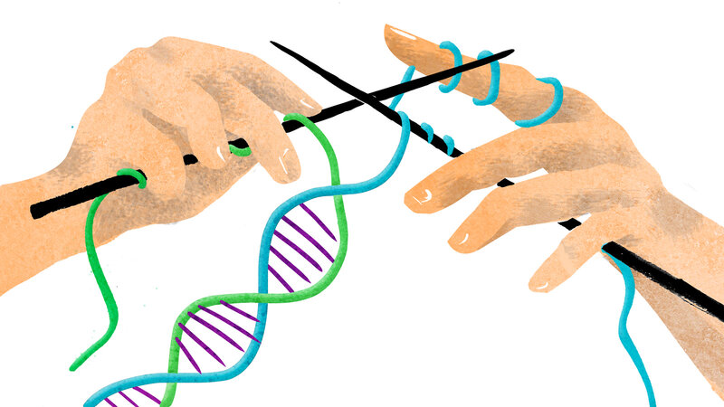 combining the dna of 3 people raises ethical questions shots health news npr