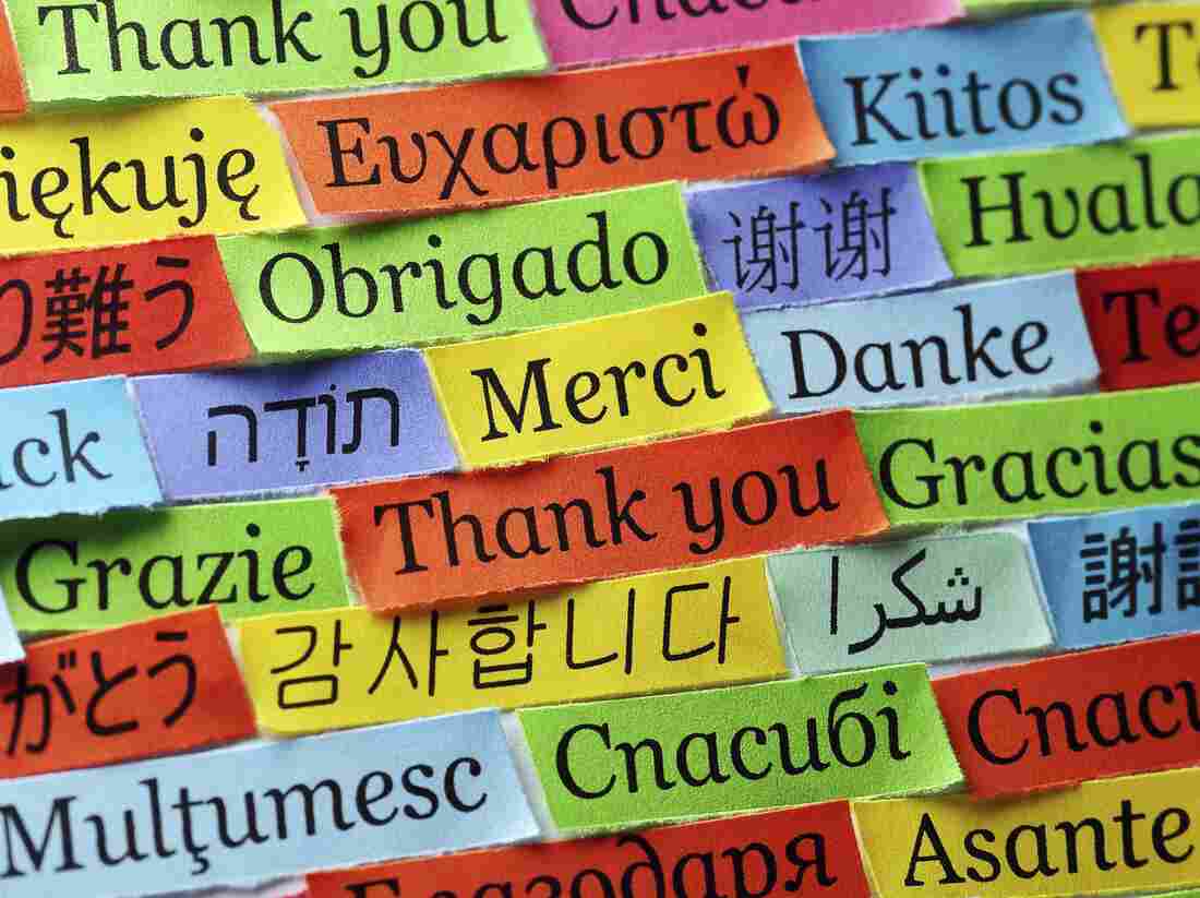 Thank you in many languages.