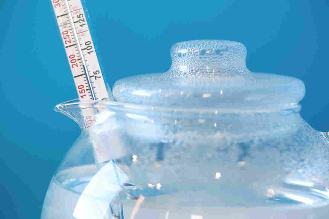Taking the temperature of water for tea.