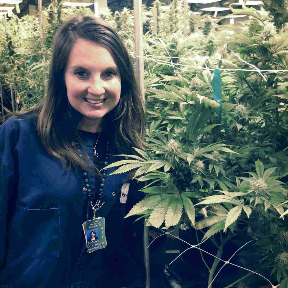 Brooke Gehring, CEO of Patients Choice and Live Green Cannabis, stands in one of her company's grow houses in Denver. Brooke Gehring, CEO of Patients Choice and Live Green Cannabis, stands in one of her company's grow houses in Denver.