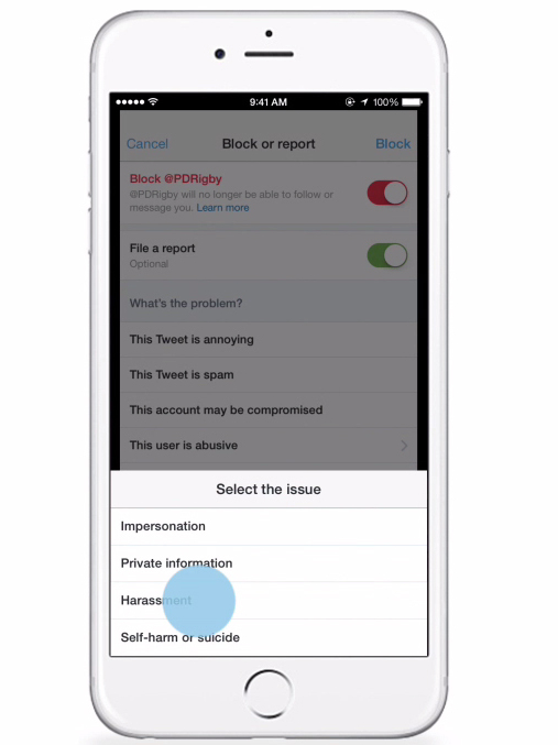 Twitter targets trolls with new rules on abuse
