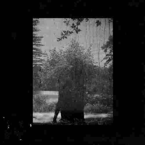 Grouper, Ruins