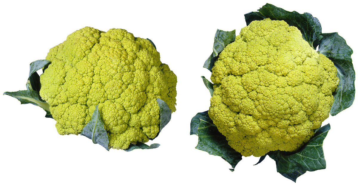 Kalettes, Broccoflower And Other Eye-Popping Vegetables For 2015 : The ...
