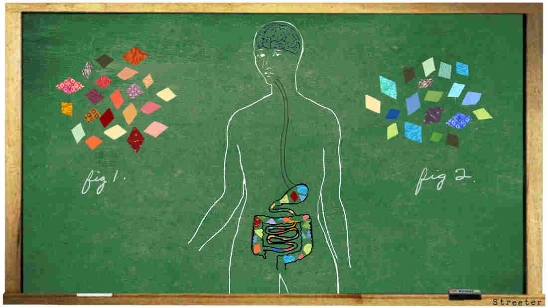 Our bodies host trillions of microbes that play important roles in health. We get our unique collections of microbes from a wide range of sources, including diet, Mom and maybe even the family dog.