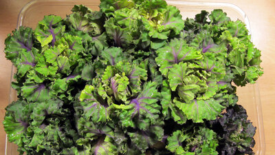 Kale Npr Kalettes Broccoflower And Other Eye Popping Vegetables For 2017