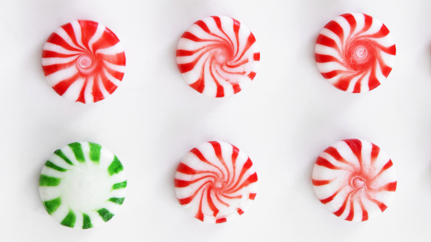 how peppermint tricks us into feeling deliciously cold the salt