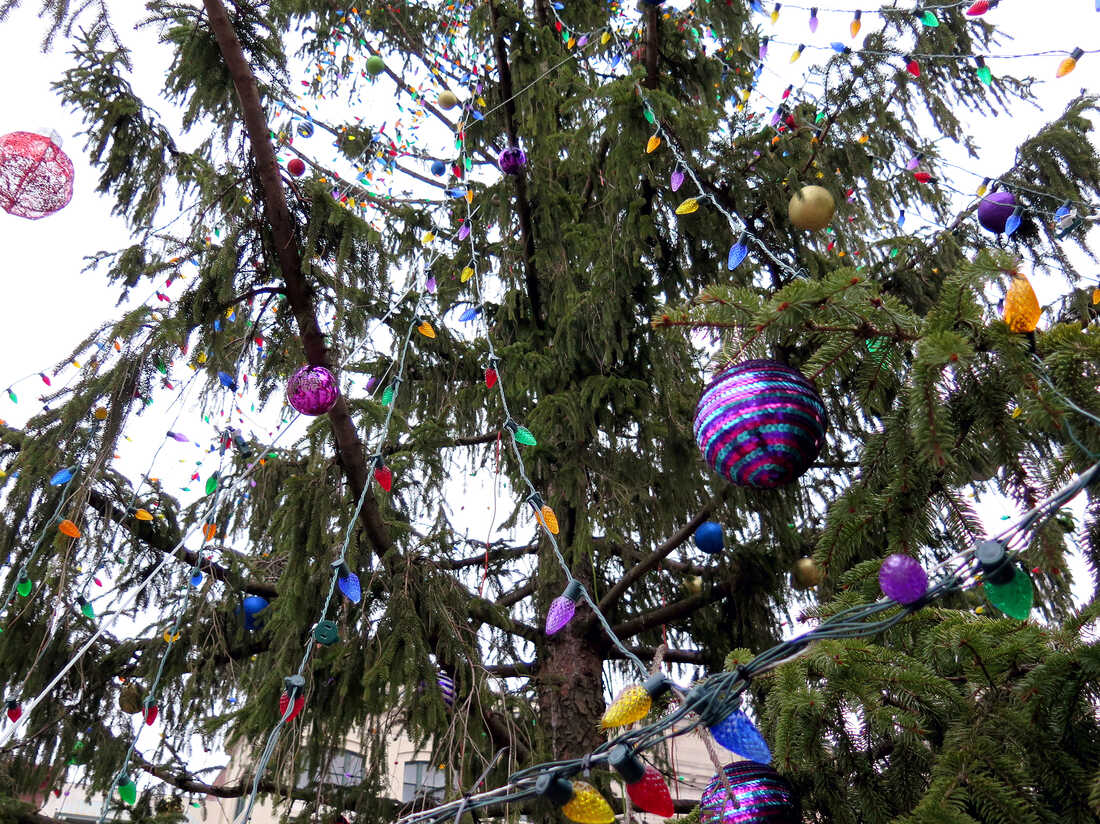 Ugly Tree Helps Pennsylvania Town Find True Meaning of Christmas