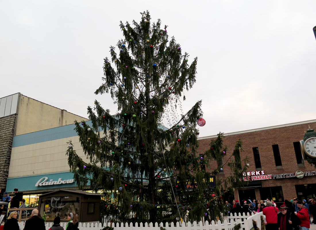 it just needed a little love an ugly spruce ties a town it just needed a little love an ugly spruce ties a town