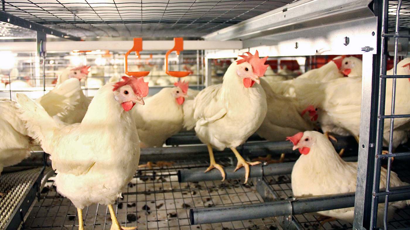 California Drinking Water Farm California Drinking Water Farm