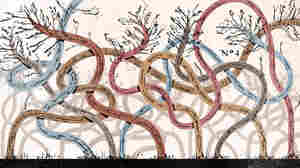 By Impersonating Her Mom, A Comedian Grows Closer To Her