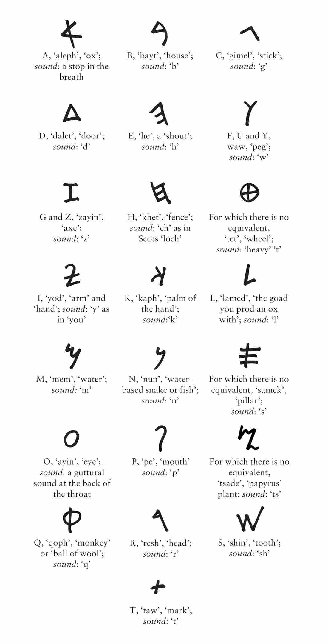 The Phoenician alphabet
