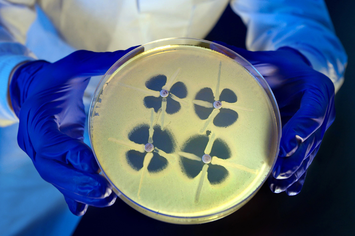 a particularly nasty type of gut bacteria with the nickname cre