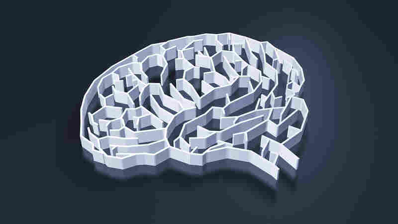 What do we know about the human brain and what do we still need to learn?