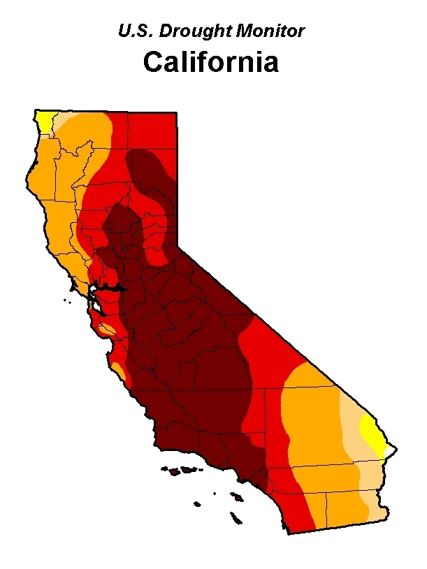 The U.S. Drought Monitor reports that more than 67 percent of California is experiencing "extreme drought." Only the tiniest sliver of the state has escaped the ongoing drought conditions.