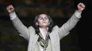 The Bachelors Of Opera