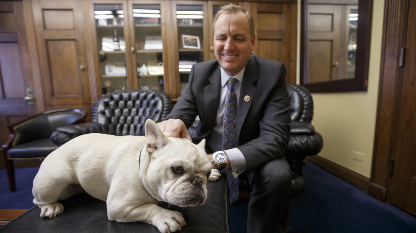 House Approves Amtrak Funding, Rewrites Rules To Allow Furry Riders