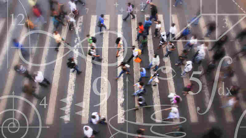 How do numbers shape our lives?