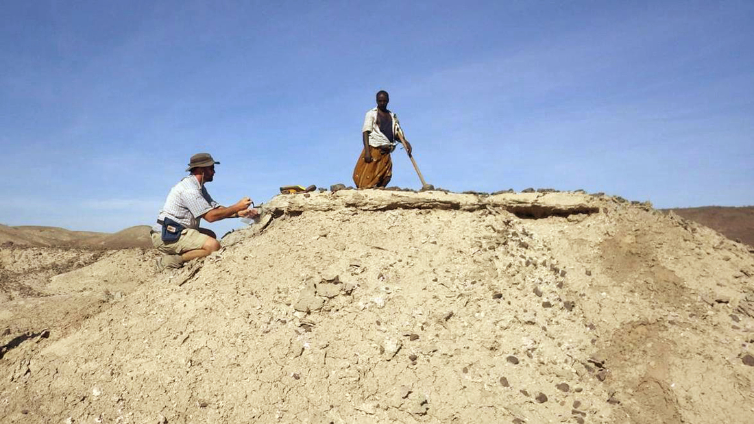 Jaw Fossil In Ethiopia Likely Oldest Ever Found In Human Line NPR