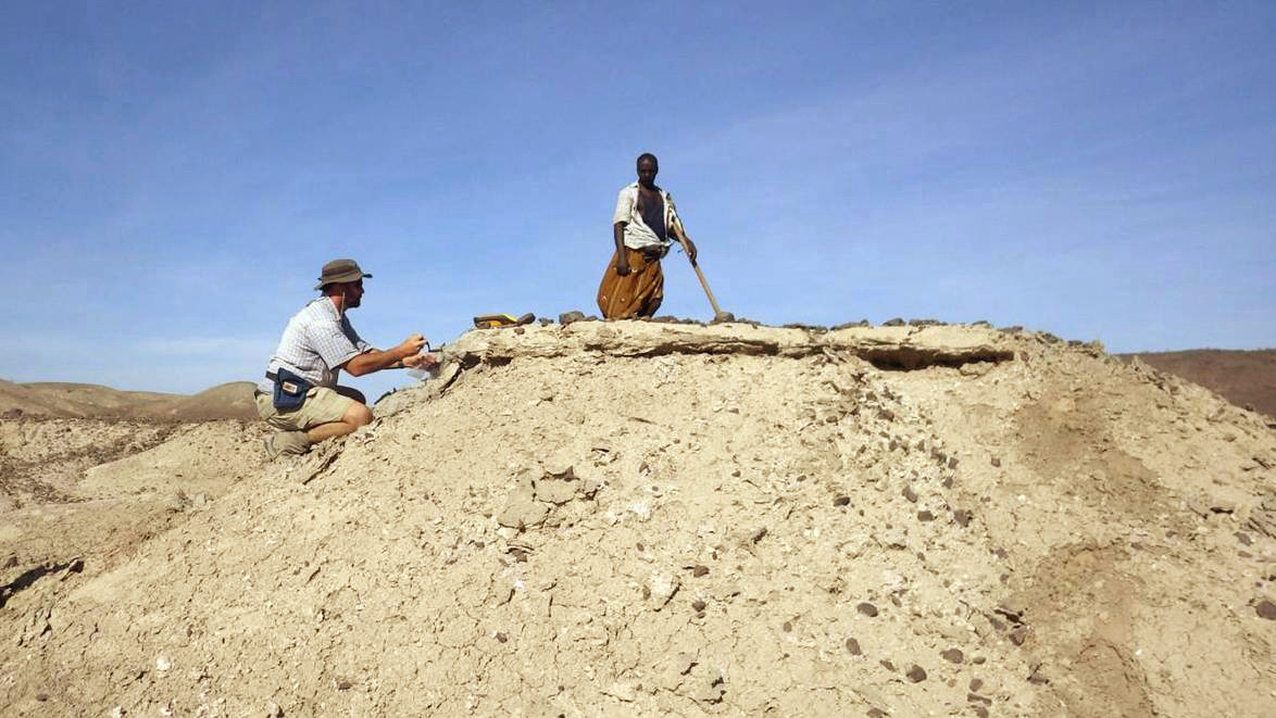 Jaw Fossil In Ethiopia Likely Oldest Ever Found In Human Line NPR