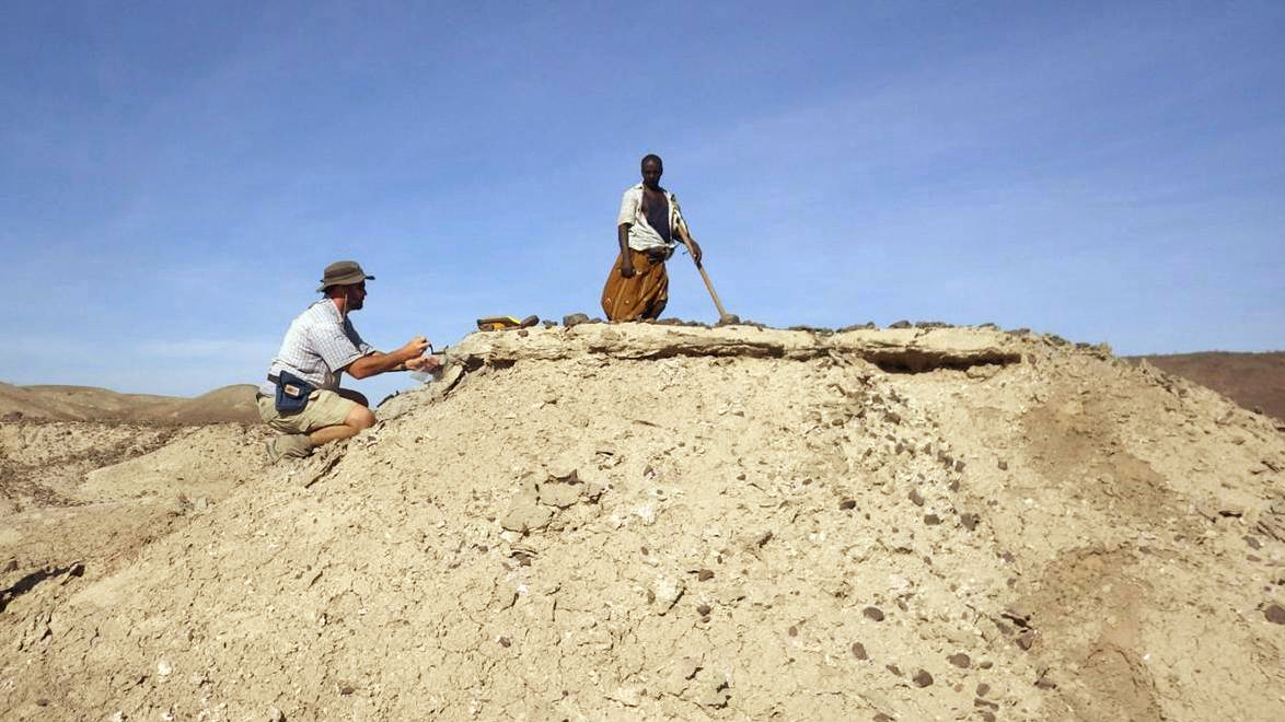 Jaw Fossil In Ethiopia Likely Oldest Ever Found In Human Line NPR