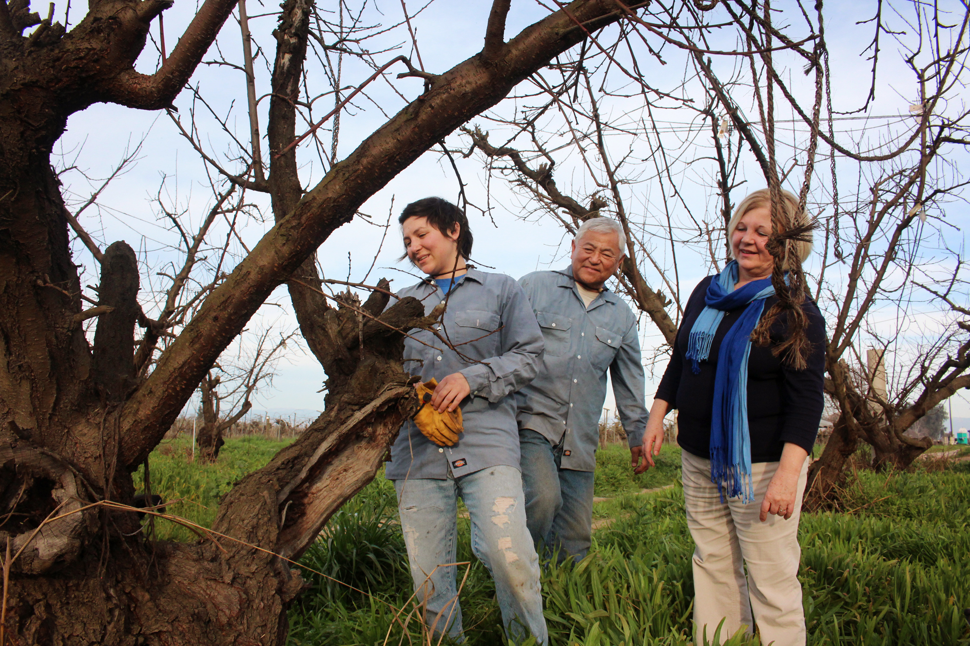 Family Tree Farms - Peaches