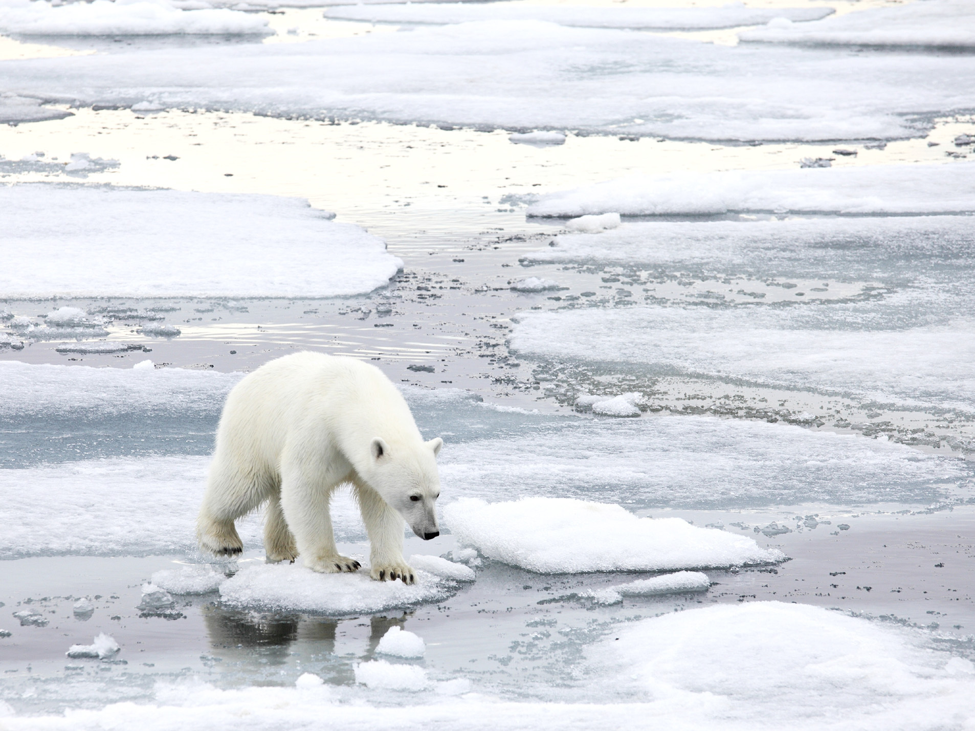 As climate wars heat up, some skeptics are targets