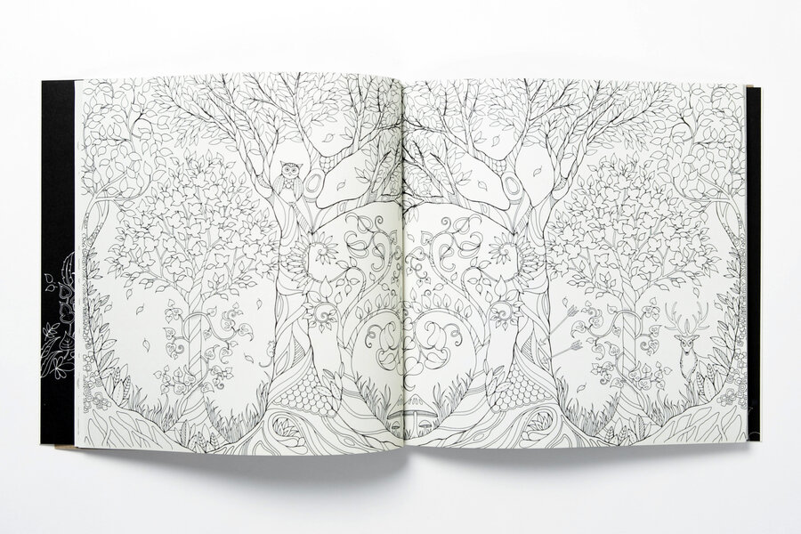 a spread from enchanted forest an inky quest and coloring book by johanna basford - Coloring Books For Grown Ups a spread from enchanted forest an inky quest and coloring book by johanna basford - Coloring Books For Grown Ups
