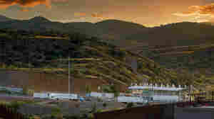 Lunch, Not Landfill: Nonprofit Rescues Produce Rejected At U.S. Border